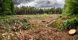 Going paperless and using mobile forms can fight climate change